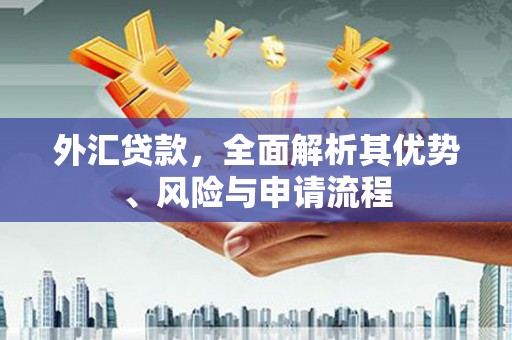 绥江外汇贷款，全面解析其优势、风险与申请流程