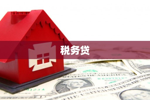 绥江税务贷