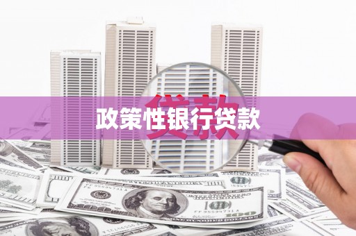 绥江政策性银行贷款