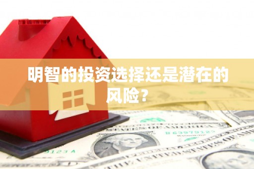 绥江明智的投资选择还是潜在的风险？