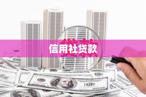 绥江信用社贷款