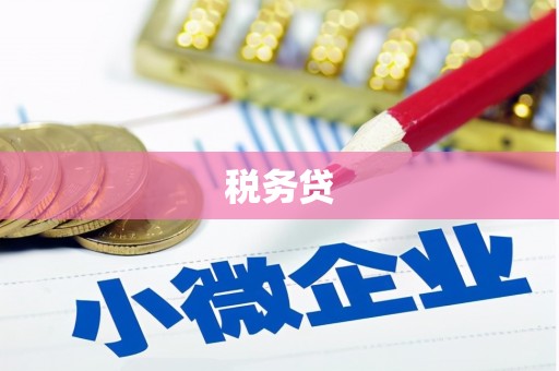绥江税务贷