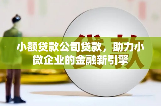 绥江小额贷款公司贷款，助力小微企业的金融新引擎