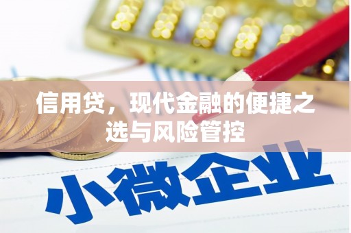 绥江信用贷，现代金融的便捷之选与风险管控