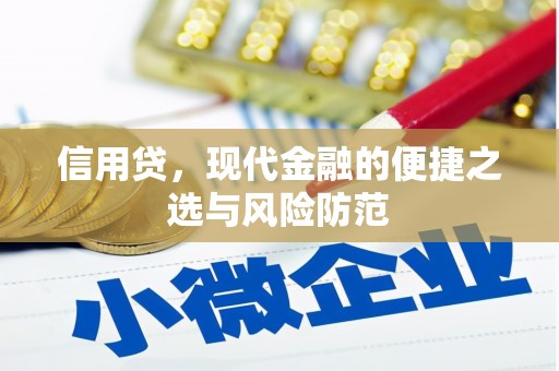绥江信用贷，现代金融的便捷之选与风险防范
