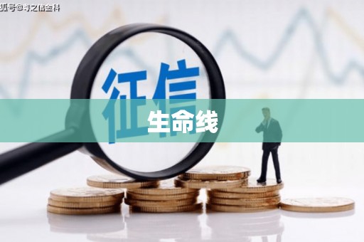 绥江生命线