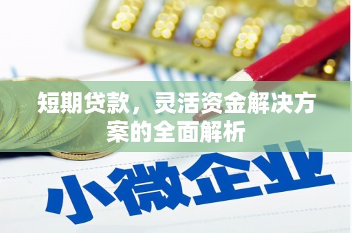 绥江短期贷款，灵活资金解决方案的全面解析