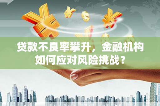 绥江贷款不良率攀升，金融机构如何应对风险挑战？