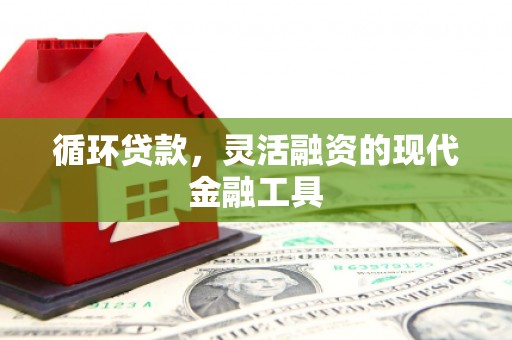 绥江循环贷款，灵活融资的现代金融工具