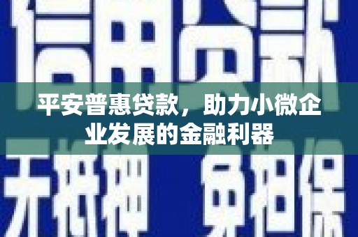 绥江平安普惠贷款，助力小微企业发展的金融利器
