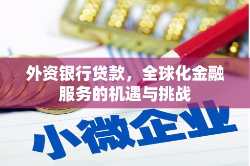 绥江外资银行贷款，全球化金融服务的机遇与挑战